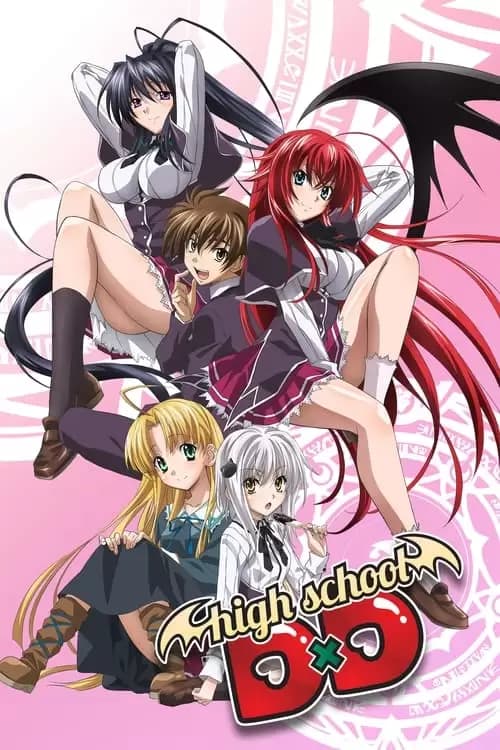 High School DxD Poster