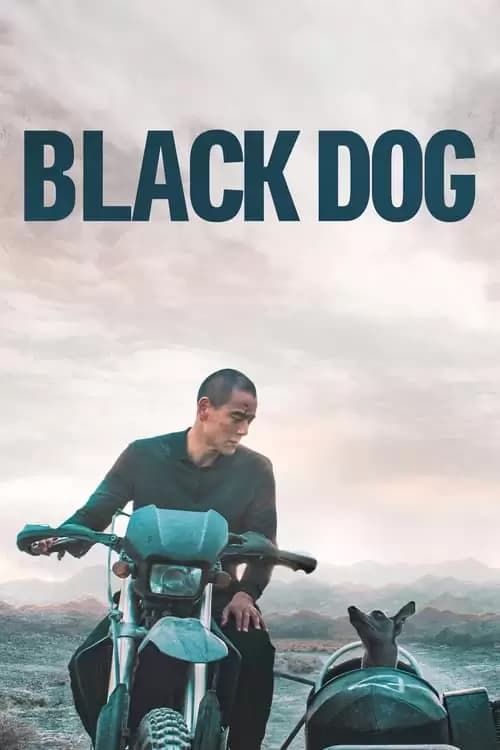 Black Dog - Weggefährten Poster
