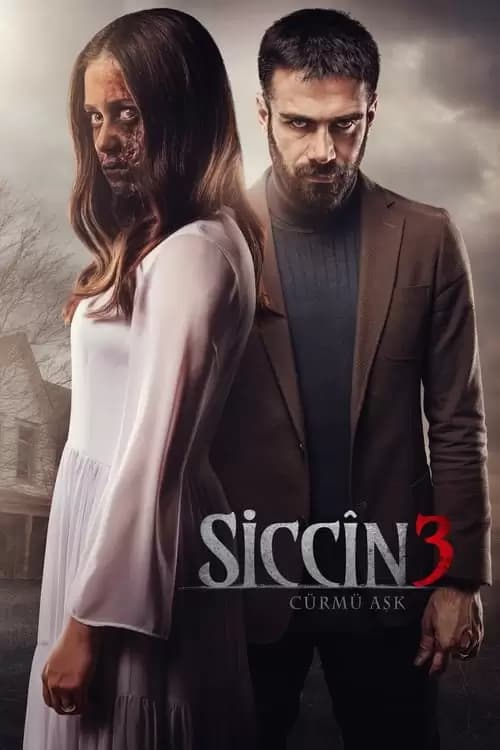 Siccîn 3: Cürmü Ask Poster