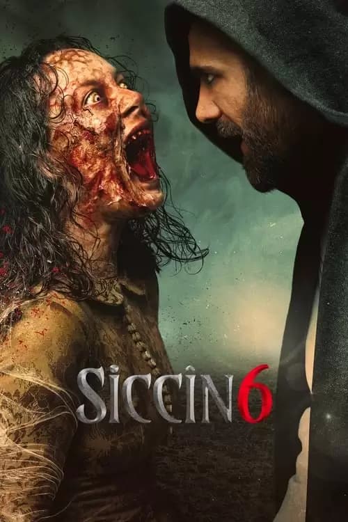 Siccin 6 Poster