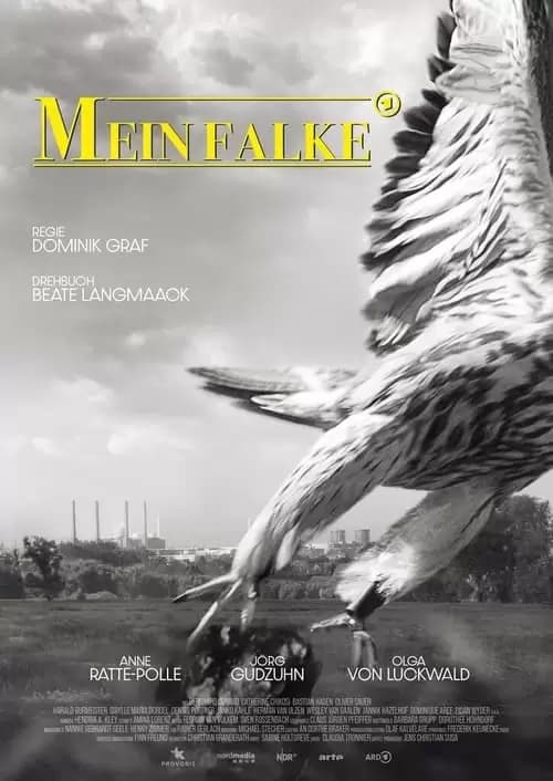 Mein Falke Poster